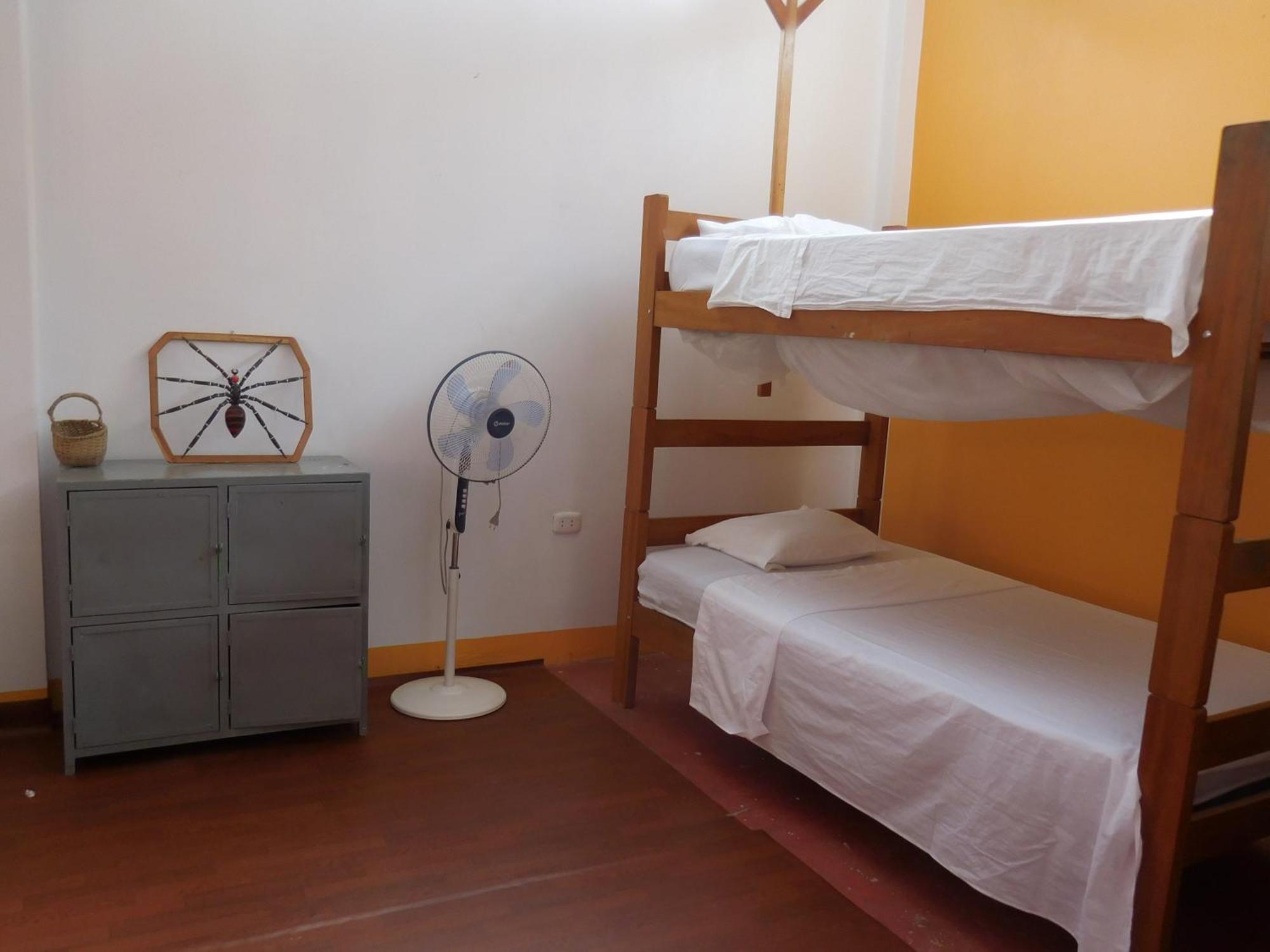 Tambopata Hostel プエルト・マルドナード エクステリア 写真