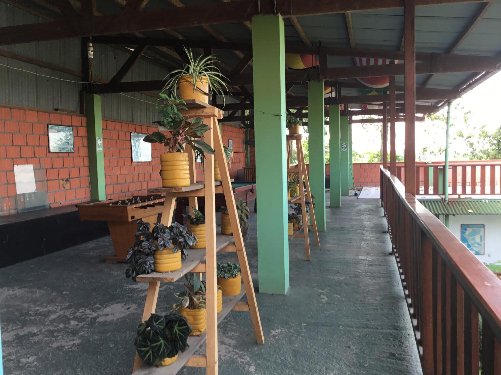 Tambopata Hostel プエルト・マルドナード エクステリア 写真