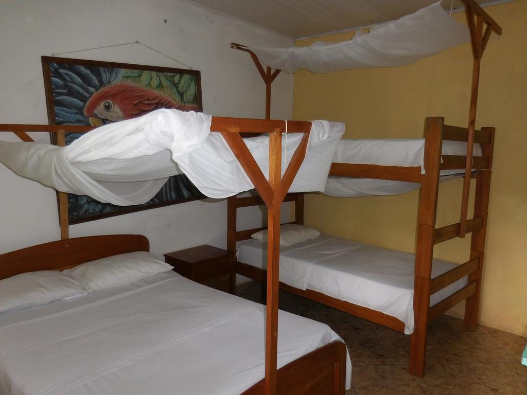 Tambopata Hostel プエルト・マルドナード エクステリア 写真