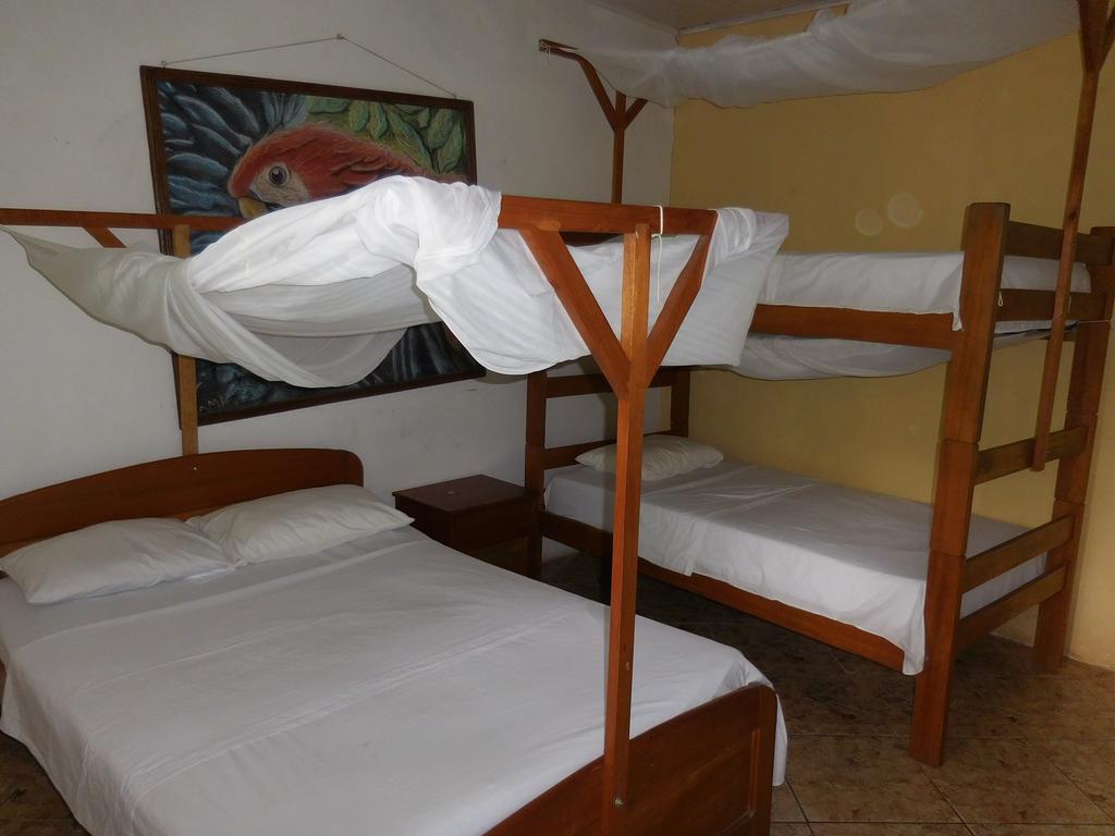 Tambopata Hostel プエルト・マルドナード エクステリア 写真